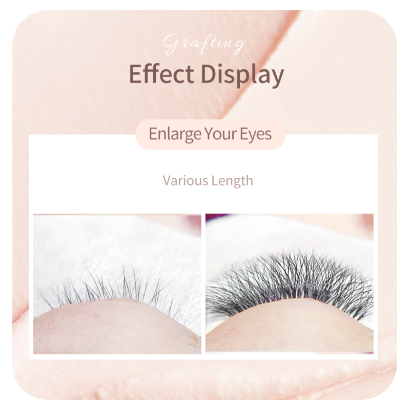 NAGARAKU Bloom Eyelash Auto Fans Eyelash Easy Fanning Lashes Auto Fan Russian Volume Lashes Magnetic Camellia