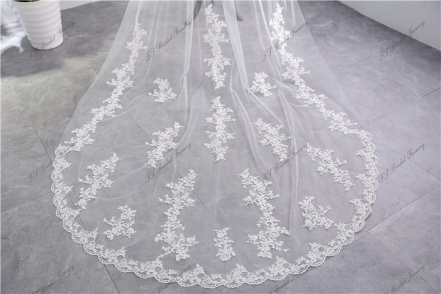 Two layers scallop Lace Veil with Delicate Floral Scatter