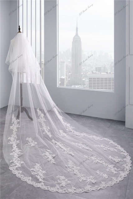 Two layers scallop Lace Veil with Delicate Floral Scatter