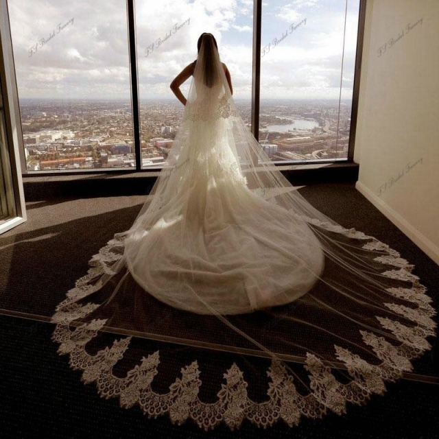 Wedding Veil Soft Lace Edge Bride With Comb