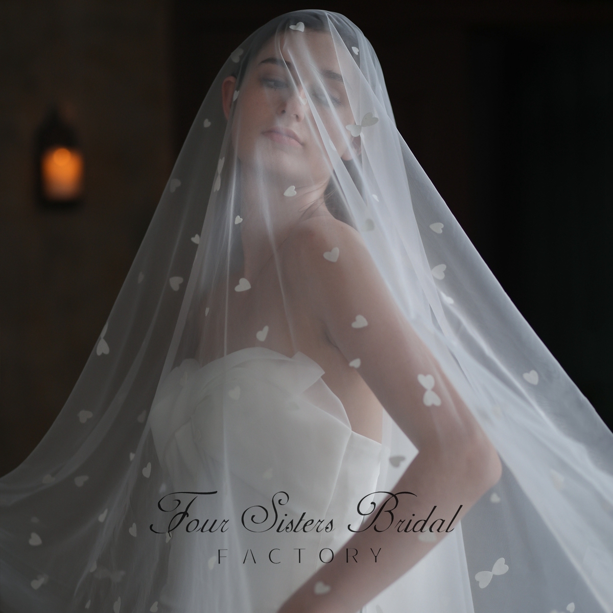 118 Inch Heart-shaped Applique Scatter Veil
