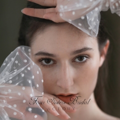 White Polka Dot Wedding Sleeves