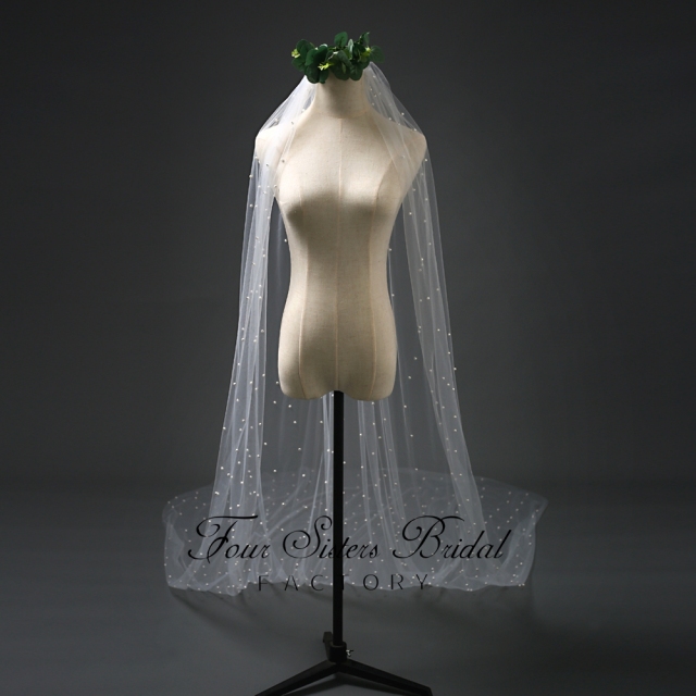Pearl Appliques  Veil