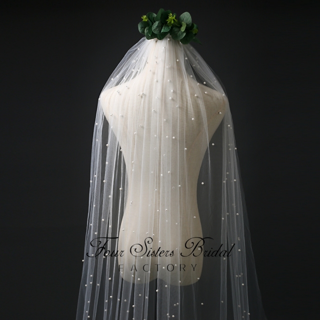 Pearl Appliques  Veil