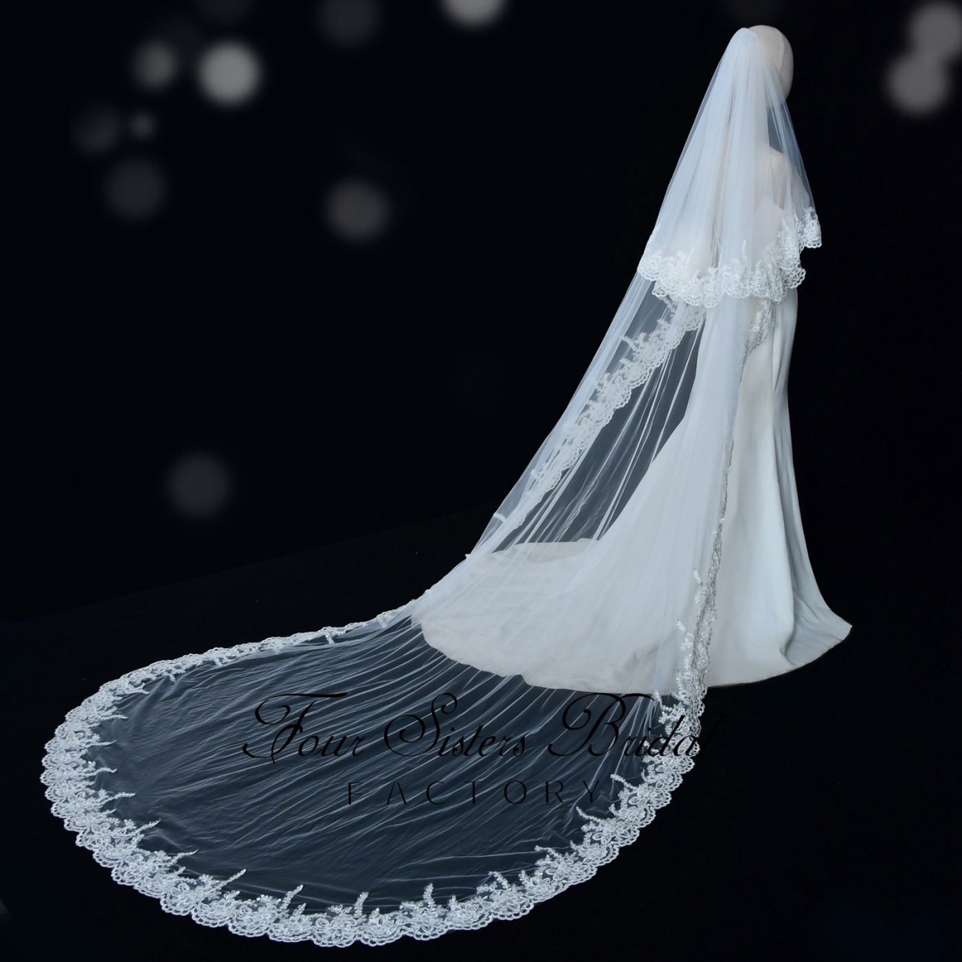 Double Layers Tulle Lace Bridal Veil