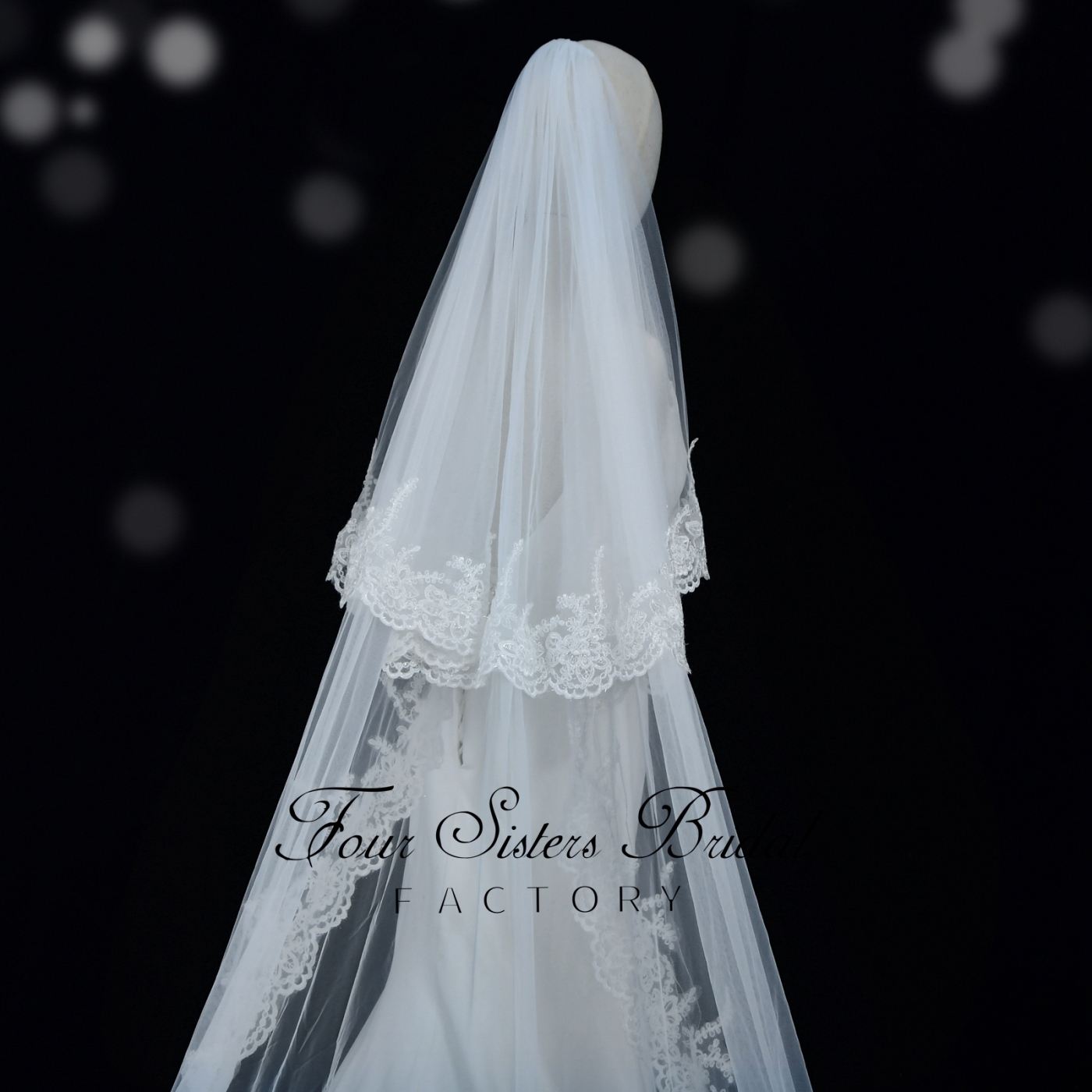 Double Layers Tulle Lace Bridal Veil
