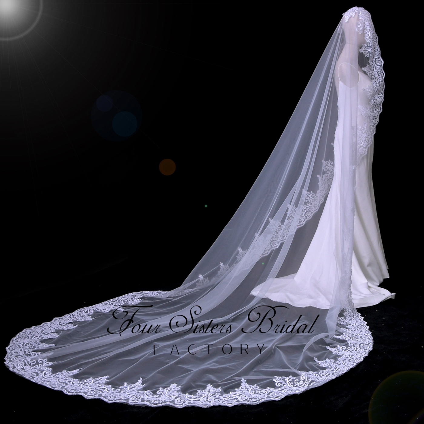 Luxurious Long Bridal Veil With Lace