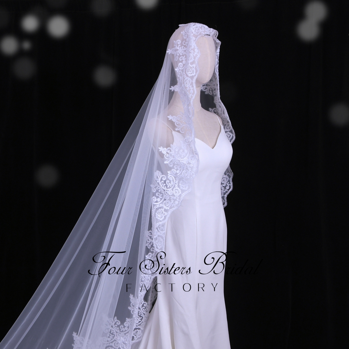 Luxurious Long Bridal Veil With Lace