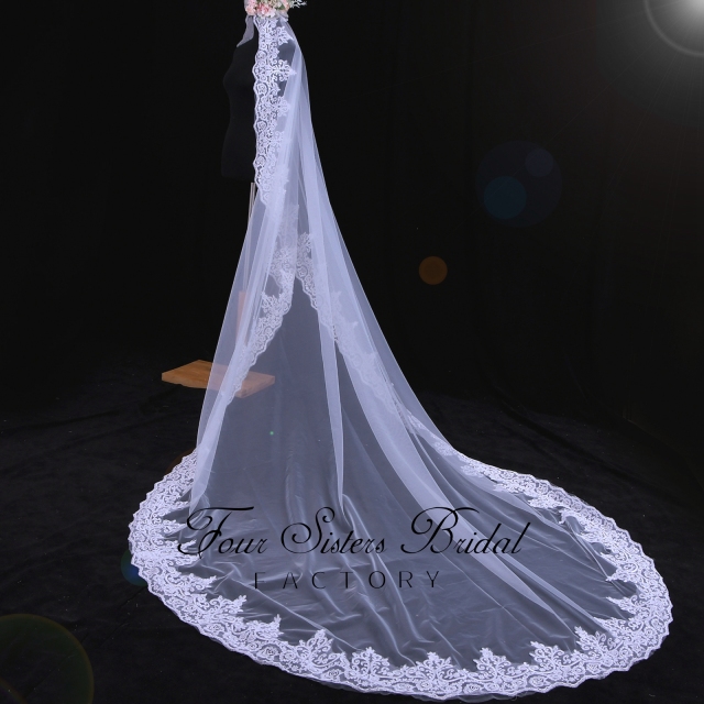 Luxurious Long Bridal Veil With Lace
