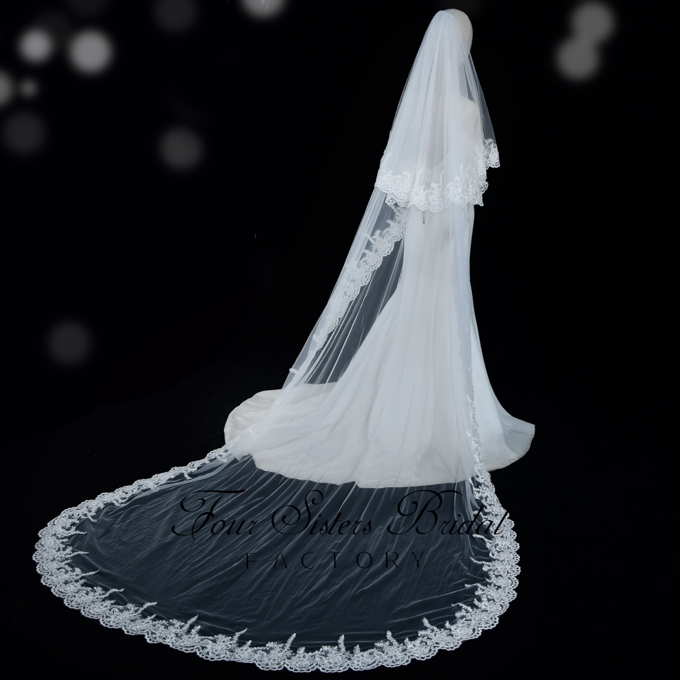 Double Layers Tulle Lace Bridal Veil
