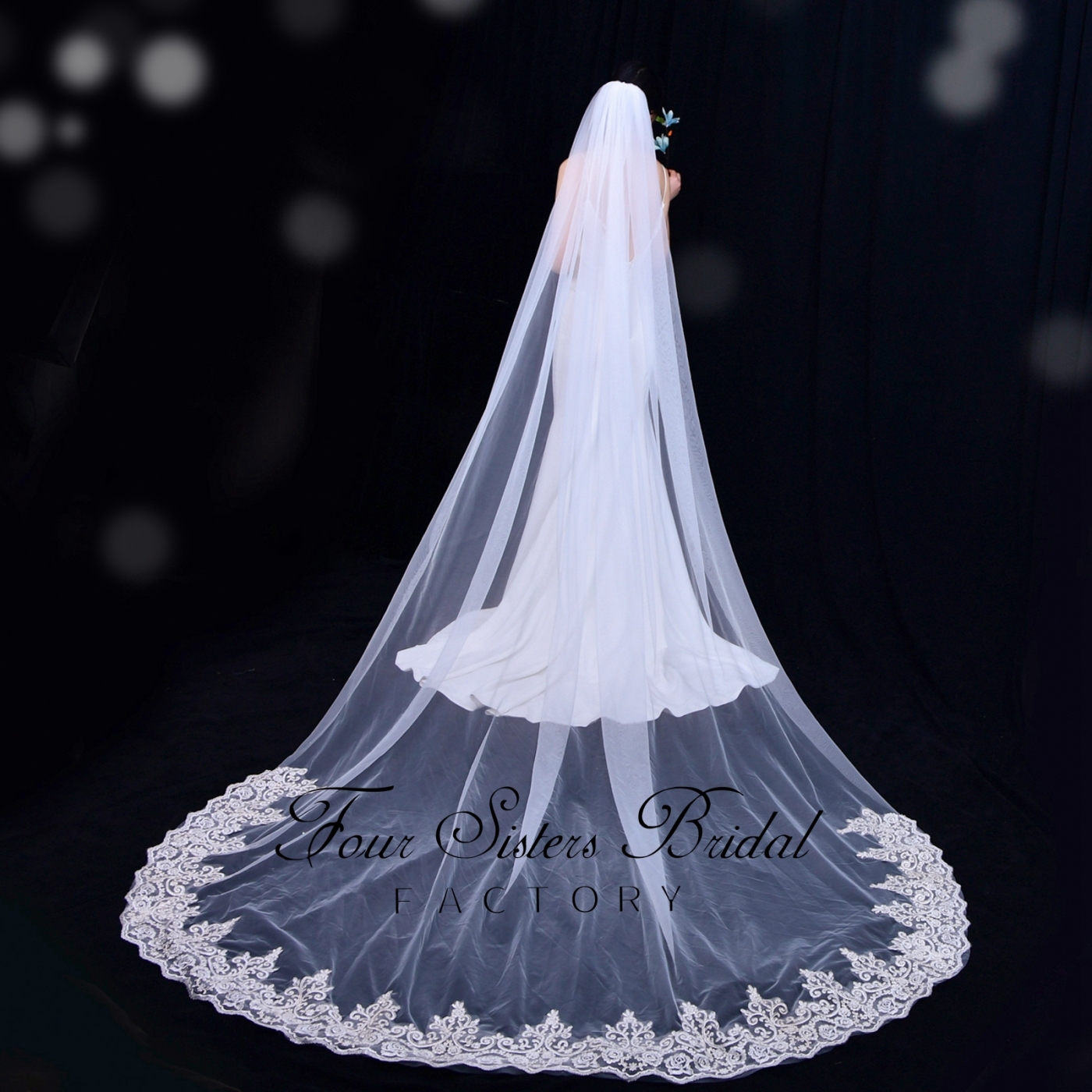 Luxurious Long Bridal Veil With Lace