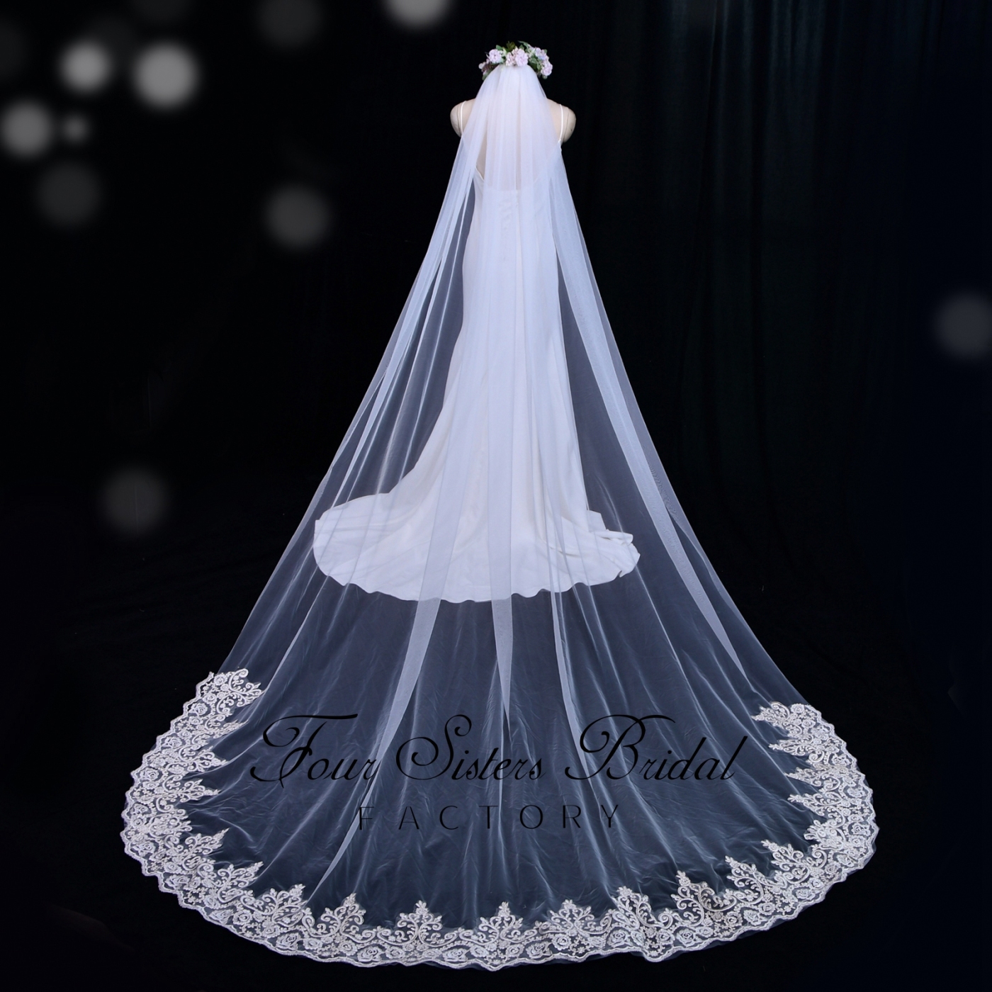Luxurious Long Bridal Veil With Lace