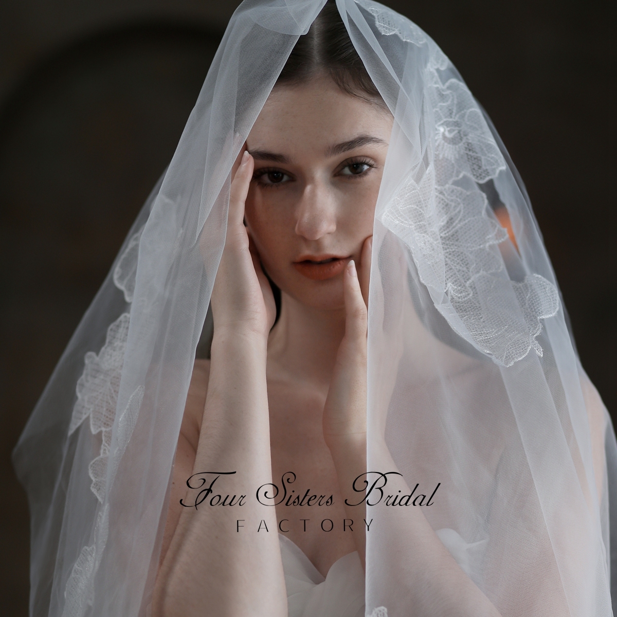 Soft Lace Wedding Veil