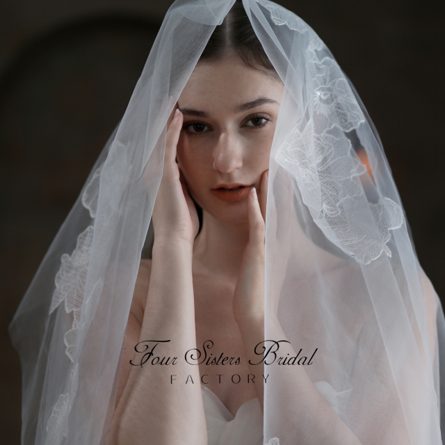 Soft Lace Wedding Veil