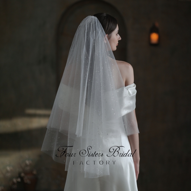 Two Layers Delicate Lace Flowers Veil