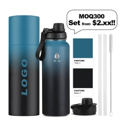 2023 BPA free LFGB Double walled Insulated 18/8 Stainless Steel Vacuum Flask Sport Water Bottle with straw easy carry