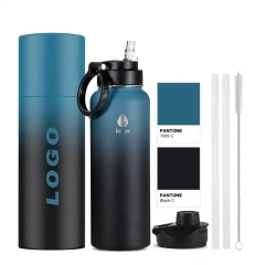 Hot Selling BPA Free 18oz 22oz 32oz 40oz Stainless Steel Sport Water Bottle with Straw Lid for Gym