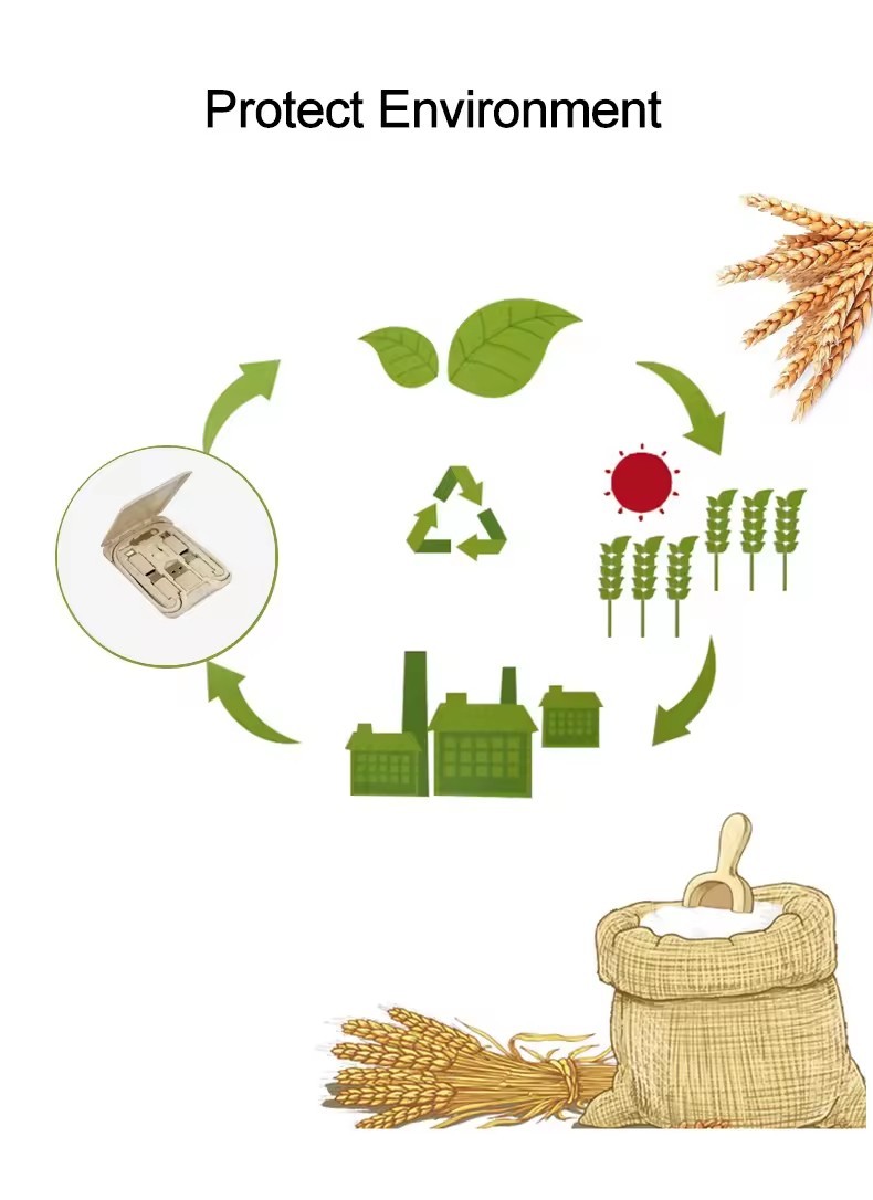 Eco-friendly Wheat Straw 6 in 1 Charging USB Cable Organizer Box Set Adapter Kit for Mobile Phone