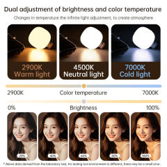 Mobile Phone Magnetic Bracket Fill Light