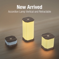 Vertical organ light