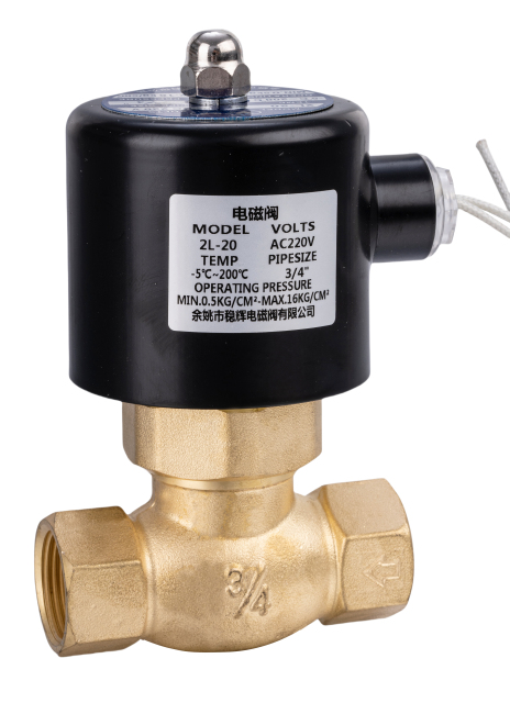 Wenhui . Solenoid Valve | 2L Series | Piston type high-temperature steam solenoid valve