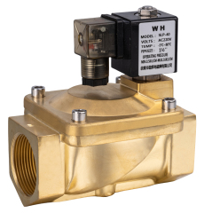 solenoid valve,Wenhui Solenoid Valve Co.LTD