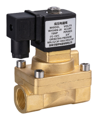 solenoid valve,Wenhui Solenoid Valve Co.LTD