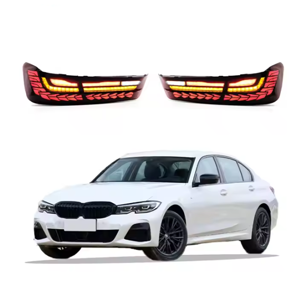 Tail Lamp for BMW 3 Series G20 2020-2021 Dragon Scale Taillight