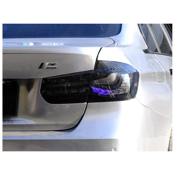 Taillights For BMW 3-series 2013-2018 Car Led Rear Lamps V1