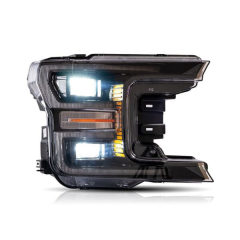 Ford F150 Head lamp Headlights