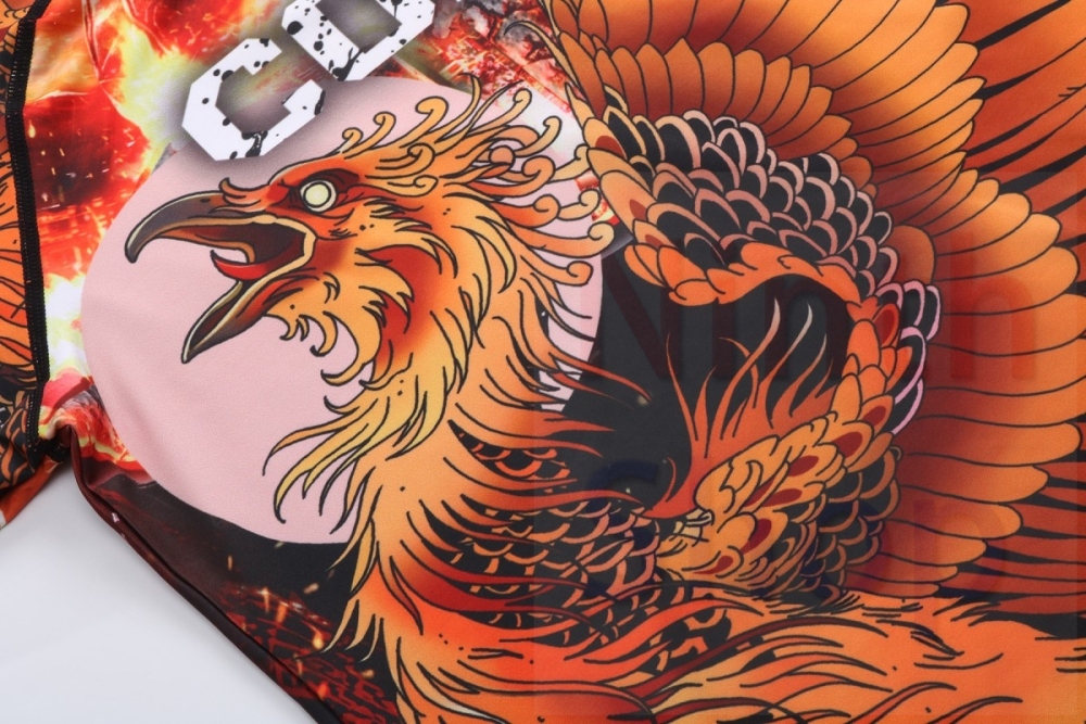 Men's Long Sleeve MMA Flame Phoenix Nirvana Sports Tights  Compression Quick-Dry Functional Long Sleeve Tee