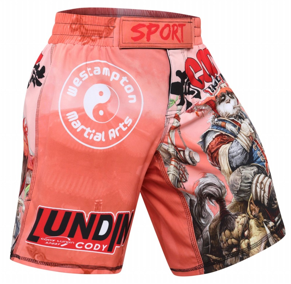 Cody Lundin Men's Sports T-shirt and Shorts 2 Pieces Sets Cool Dry Compression Round Collar Summer Fitness Sports Suit(1394-153)