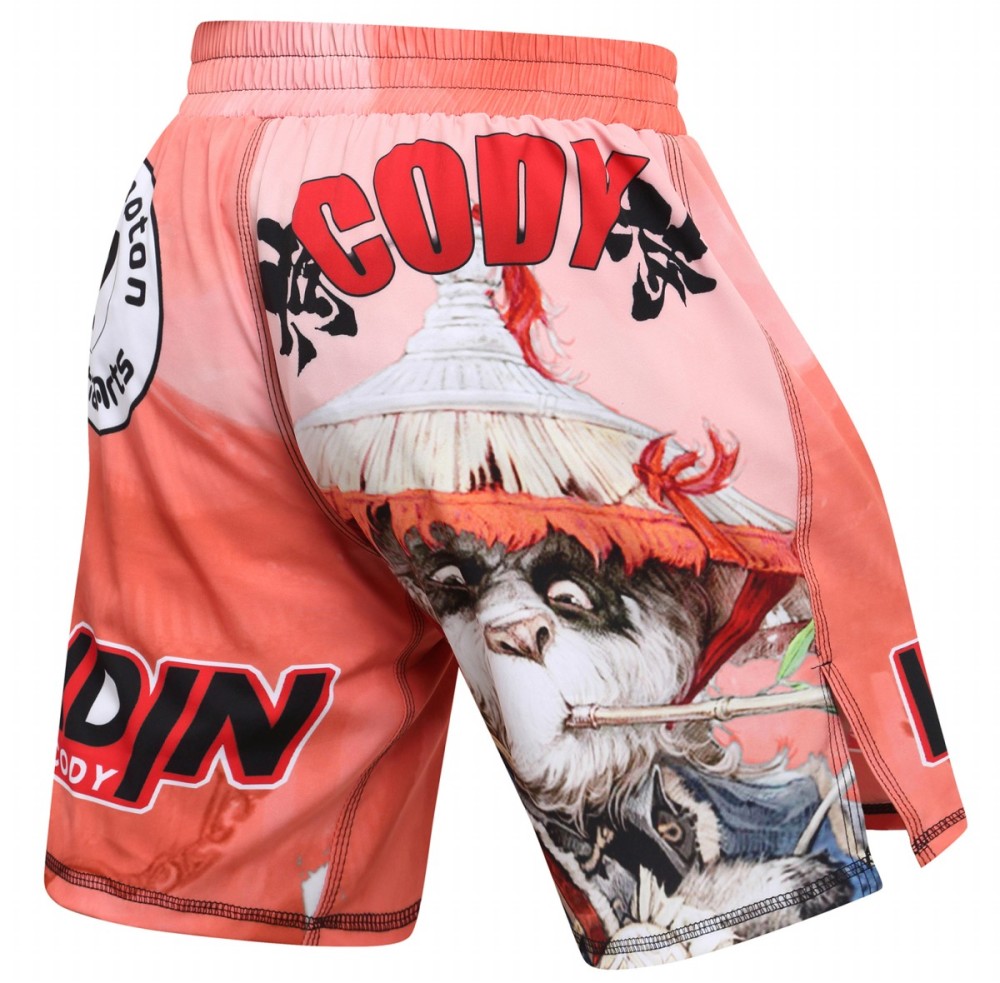 Cody Lundin Men's Sports T-shirt and Shorts 2 Pieces Sets Cool Dry Compression Round Collar Summer Fitness Sports Suit(1394-153)