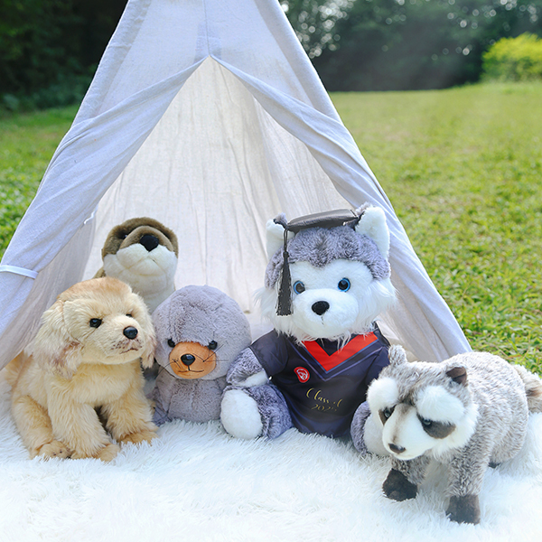 KingKong Toys Custom 12'' Plush Husky With Graduation Cap,KingKong Toys