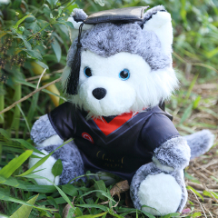 KingKong Toys Custom 12'' Plush Husky With Graduation Cap,KingKong Toys