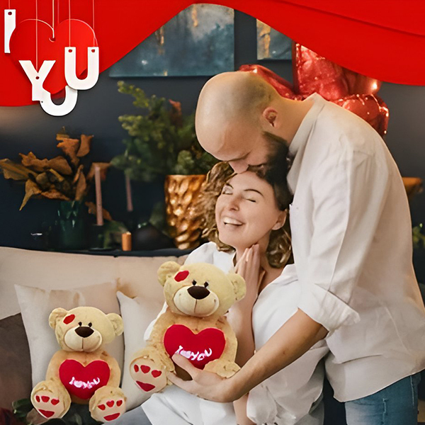 I Love You Collection Teddy Bear 14 inch Plush Bear with Red Heart Pillow Stuffed Animal Plushie Toys Gift for Girlfriend,KingKong Toys