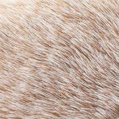 Hedgehog Stuffed Animal Large Mommy Hedgehog Plush Toys with 4 Baby Soft Cuddly Plushie Toy Sets for Birthday Gifts,KingKong Toys