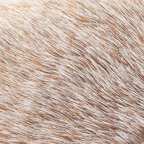 Hedgehog Stuffed Animal Large Mommy Hedgehog Plush Toys with 4 Baby Soft Cuddly Plushie Toy Sets for Birthday Gifts,KingKong Toys