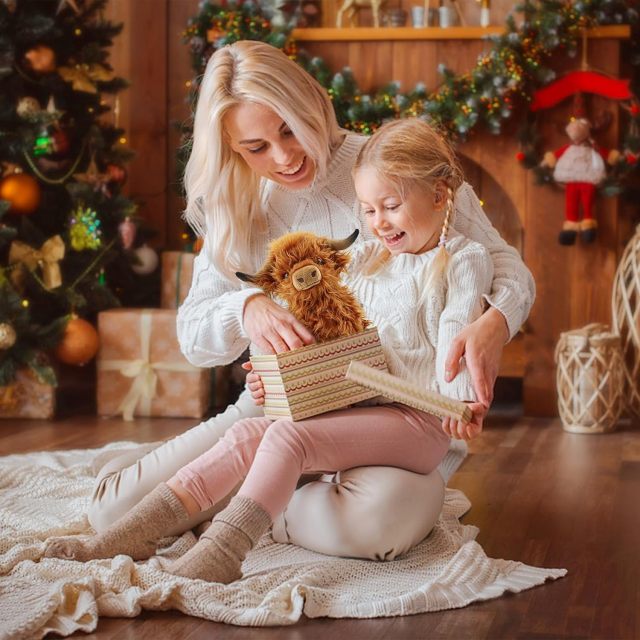 Highland Cow Stuffed Animals Microwavable Heating Pad Soft Fluffy Realistic Cow Plush Toy for Anxiety,KingKong Toys