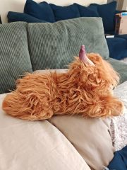 Highland Cow Stuffed Animals Microwavable Heating Pad Soft Fluffy Realistic Cow Plush Toy for Anxiety,KingKong Toys