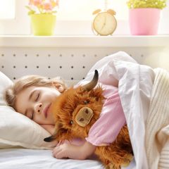 Highland Cow Stuffed Animals Microwavable Heating Pad Soft Fluffy Realistic Cow Plush Toy for Anxiety,KingKong Toys