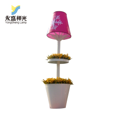 圣诞景观灯