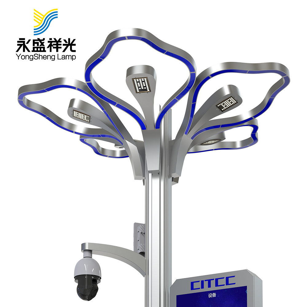 2020YS-ZHD-06