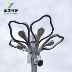 2020YS-ZHD-06