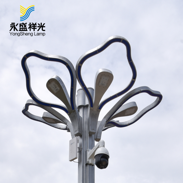 2020YS-ZHD-06