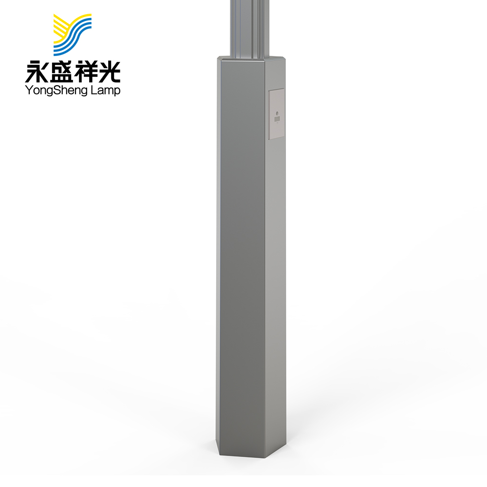 2020YS-ZHD-06