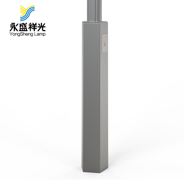 2020YS-ZHD-06