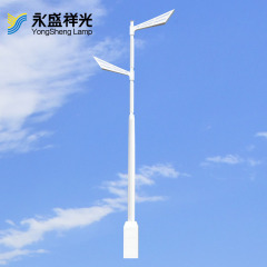 天翼路灯(工业大街）