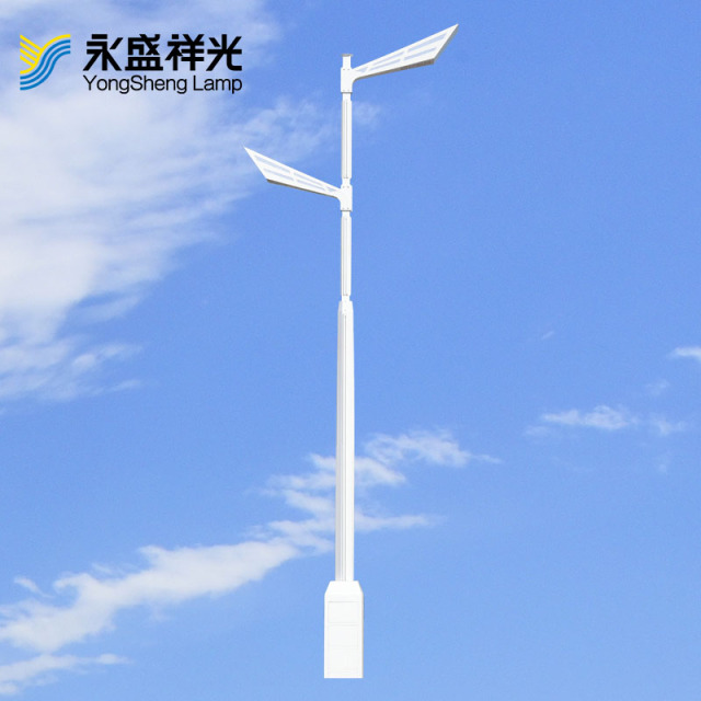 天翼路灯(工业大街）