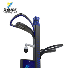 2020YS-ZHD-01